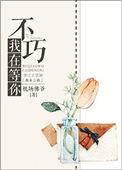 不巧我在等你顶点