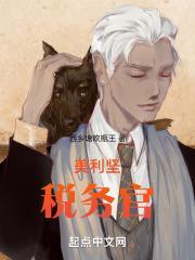 美利坚税务官无错版