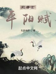 红楼之平阳赋TXT百度