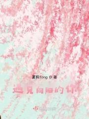 遇见阳光作文600字记叙文