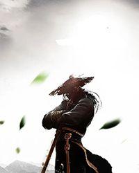 完美至尊境界介绍