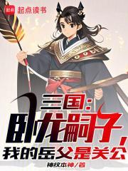 我打造了千年大汉精校版