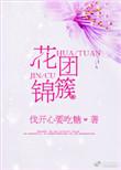 花团锦簇读音