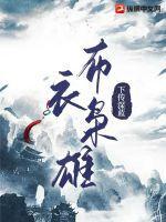 布衣枭雄短剧
