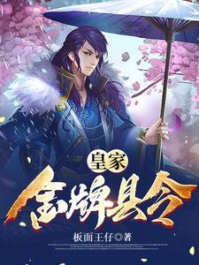 皇家金牌县令简介