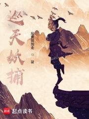 巡天妖捕主角境界