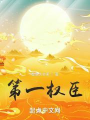 第一权臣是病美人讲的什么