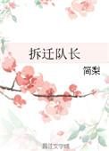 拆迁队长大拆迁主任大
