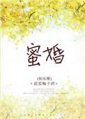 蜜婚宠爱宁先生