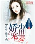 重生九零之娇宠小田妻 书包