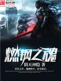 燃钢之魂TXT精校全本txt