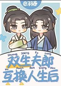 双生夫郎互换人生后番外