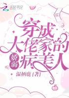 穿成大佬的娇弱小美人