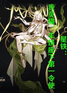 星猫动画系列
