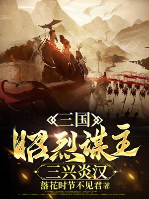 三兴炎汉txt