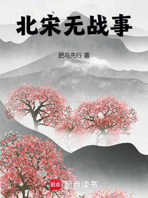 北宋战略失误