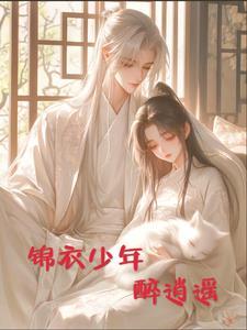 锦衣少年的意思