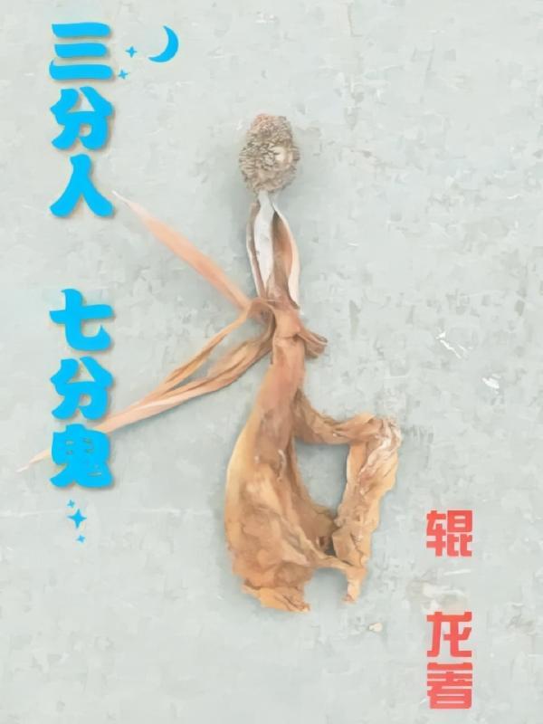 三分人七分鬼打一正确答案