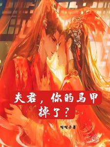 夫君又掉马甲了大结局