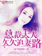 总裁大人追妻记