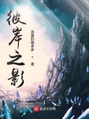 诡异盗贼