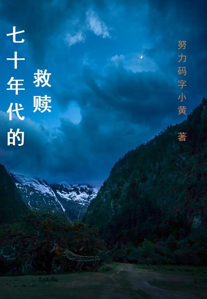 七十年代的确良布料的价格