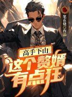 这个赘婿很稳