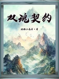 贵妃双魂契约