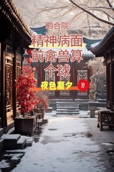 四合院文