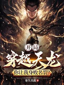 穿越天龙当