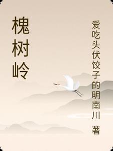 槐树岭一号院是何单位