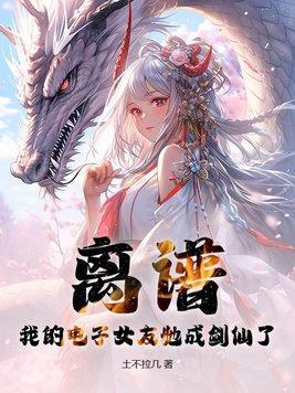 我的电子女友游戏