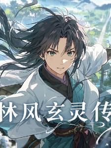 主角叫林风玄幻