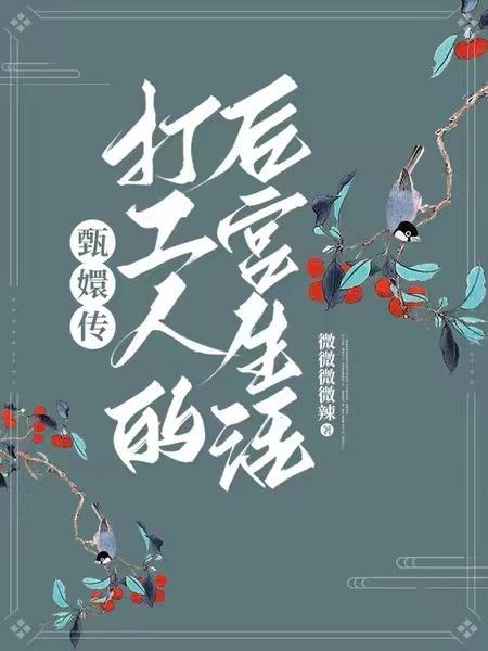 甄嬛传后宫阶级
