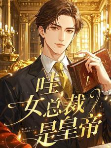总裁是女生