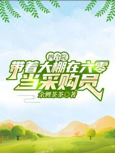 四合院带着大棚在六零当采购员孙林
