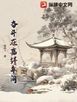 奋斗在嘉靖年间纵横