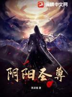 阴阳至尊