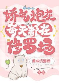 娇气包 晋江
