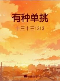 有种单挑十三十三免费阅读全文