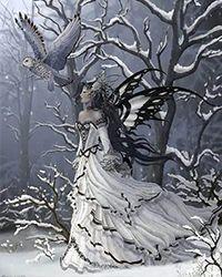 狂龙战神李锋张雪