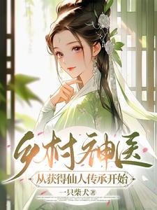 乡村小神医系列