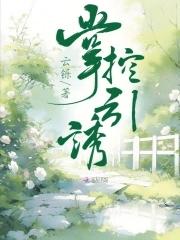 掌控引擎是干嘛的