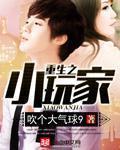 重生之小玩家苏糖绿改版