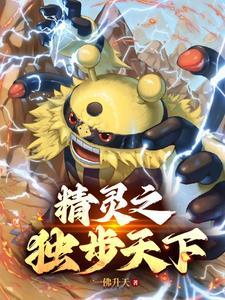 精灵宝可梦之登神长街主角拥有几个精灵