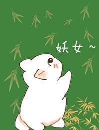 穿成合欢宗女修匀妙合