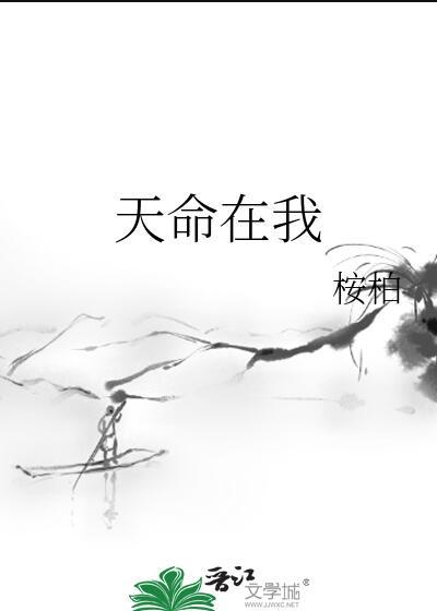 天命在我桉柏百度
