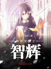 神奇宝贝之智辉 忆之书屋