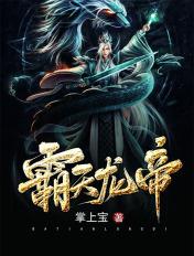 霸天龙帝的境界