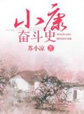 小康奋斗史免费收听